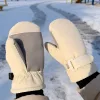 winter gloves, thick gloves, waterproof gloves, ski gloves, thermal gloves