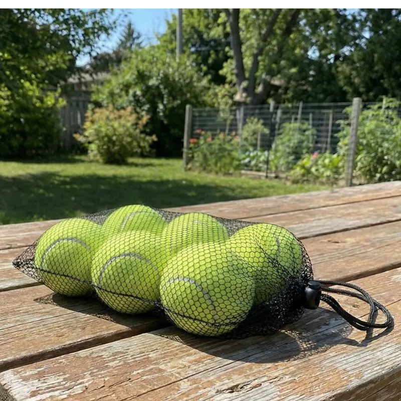 6pcs Tennis Ball Pack with Mesh Bag